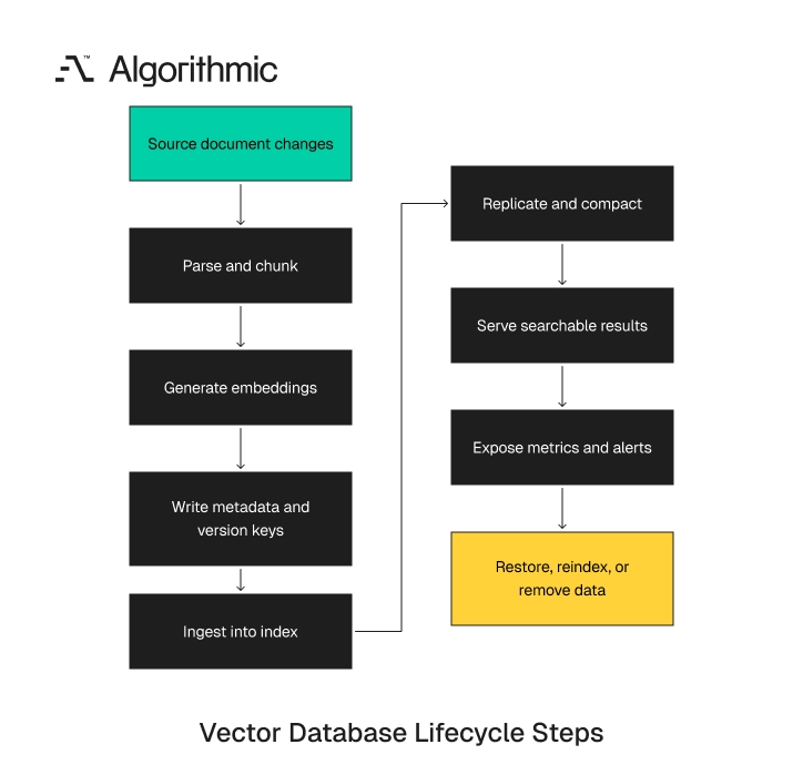 Lifecycle of non-ANN responsibilities for a production vector layer.
