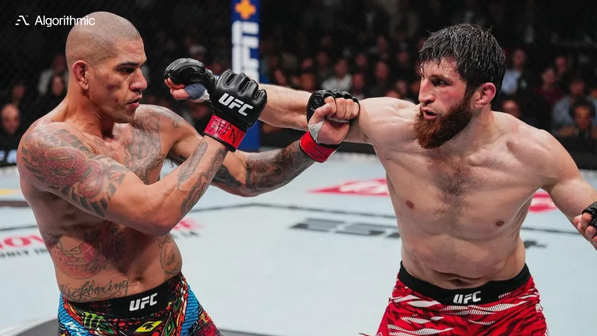 MMA betting intelligence platform using gradient boosting and deep learning to predict fight outcomes